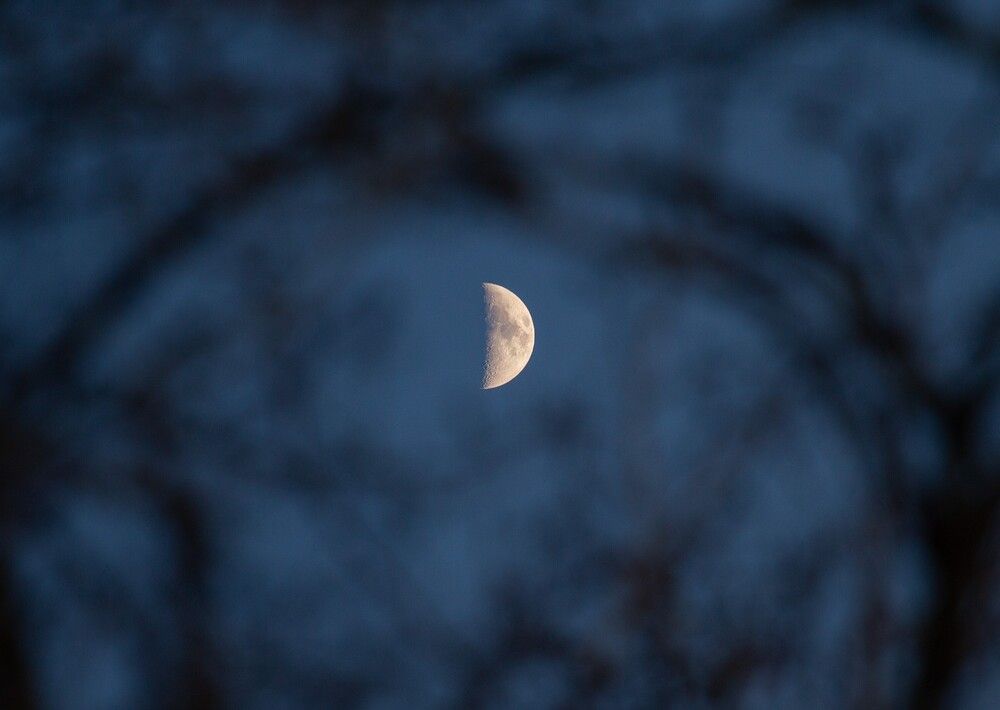 Photograph by ЕЛЕНА Рохо-Фернандес