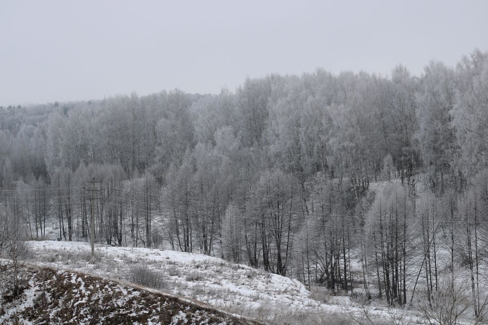 Photograph by Ekaterina