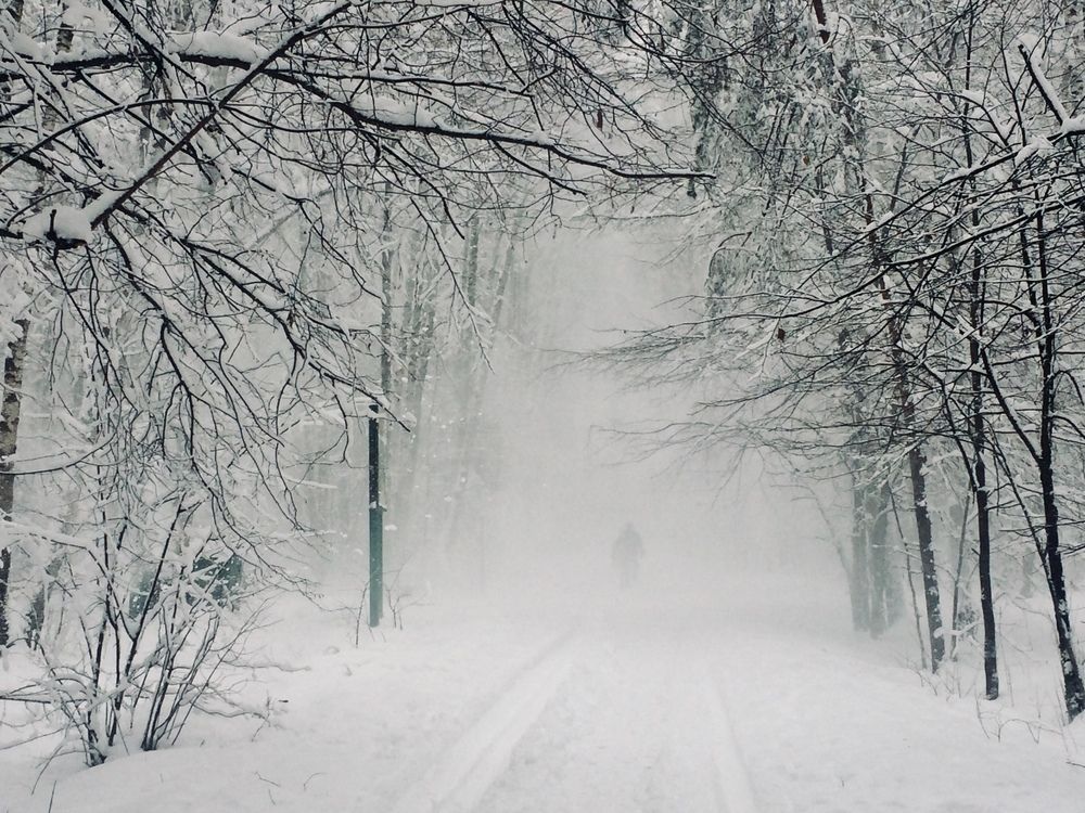 Photograph by Шарова Ольга