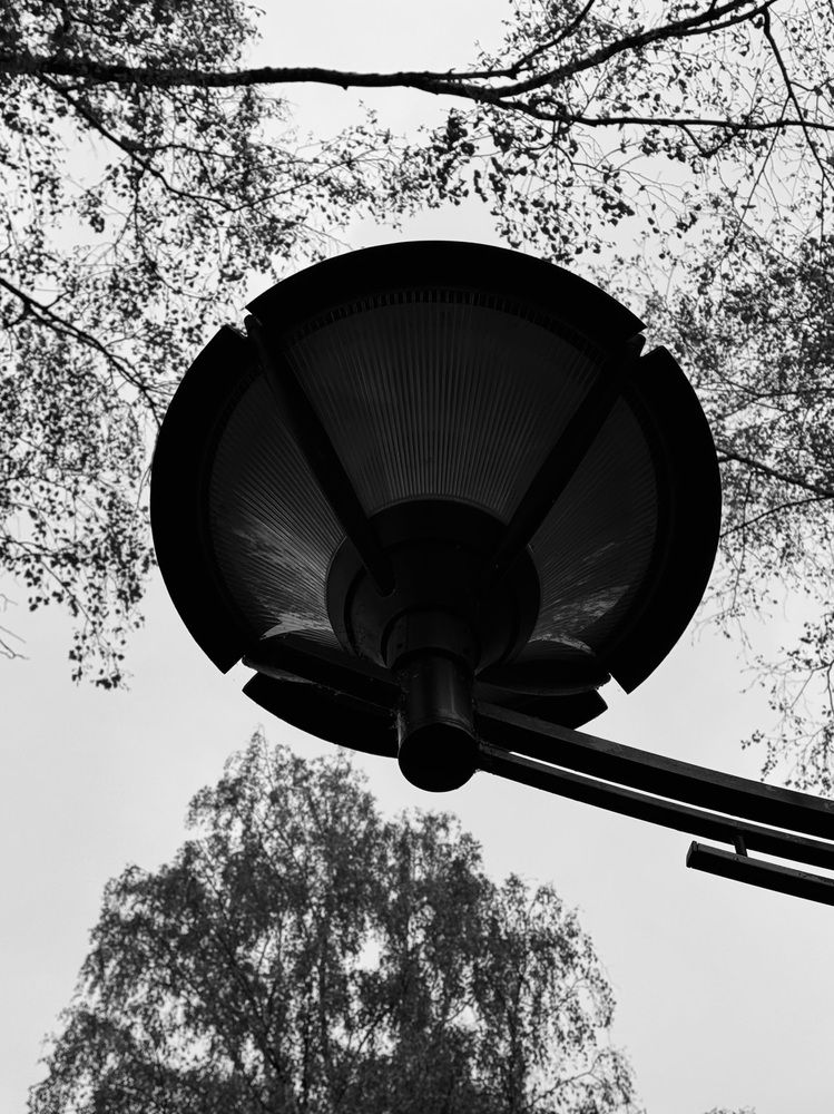 Photograph by Диана Есина