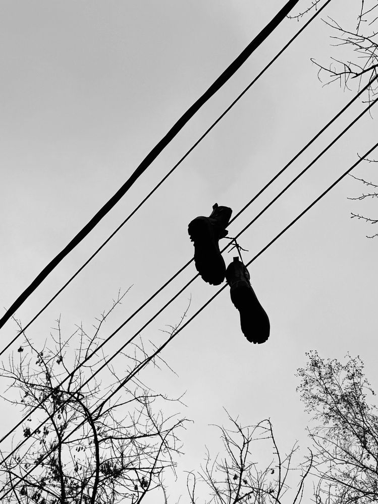 Photograph by Диана Есина