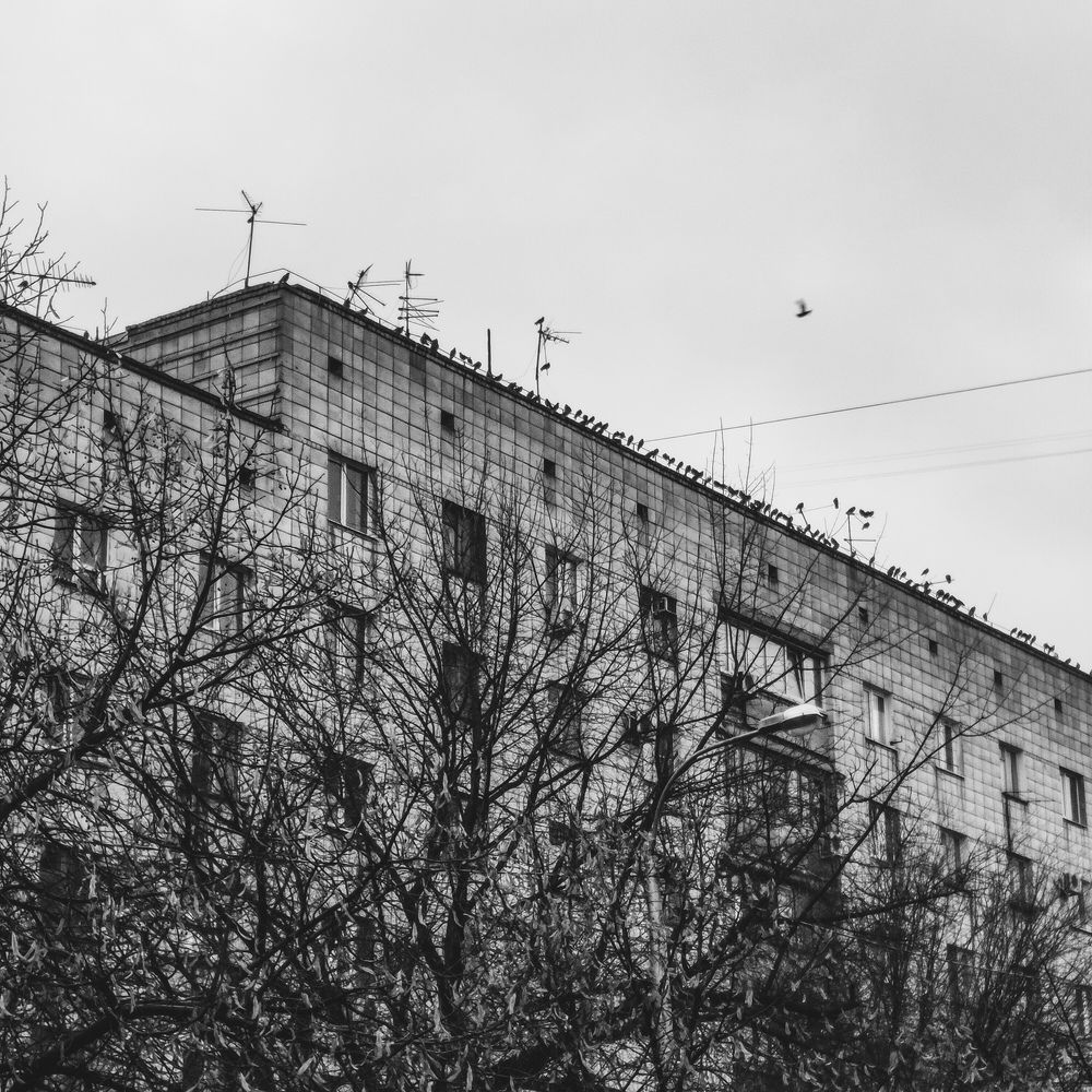 Photograph by Александра Воронина