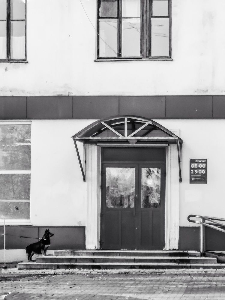 Photograph by Александра Воронина
