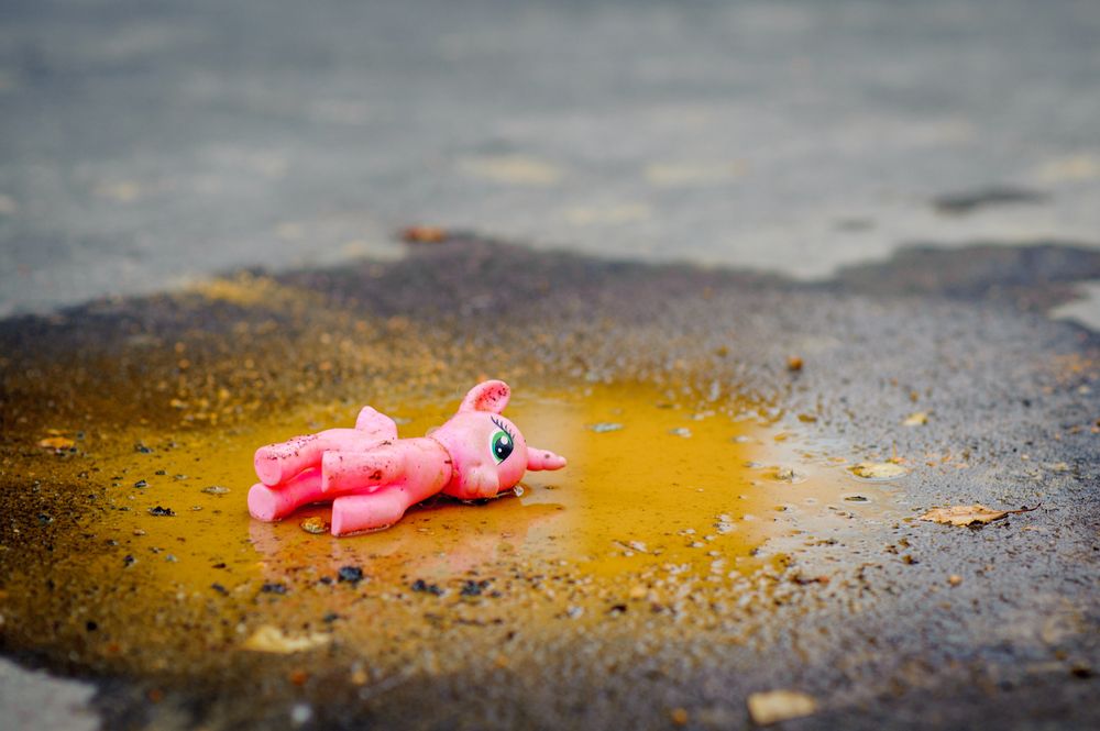 Фотография автора Дмитрий Мясников