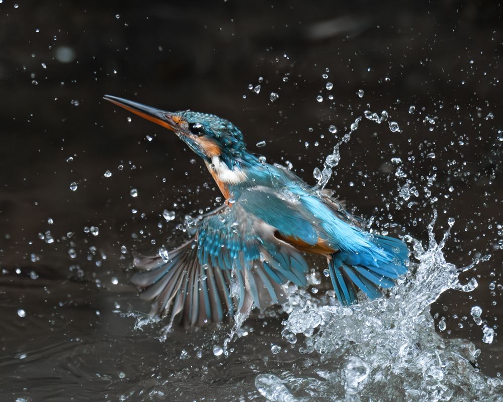 Photograph by Truong Cong Minh Dang