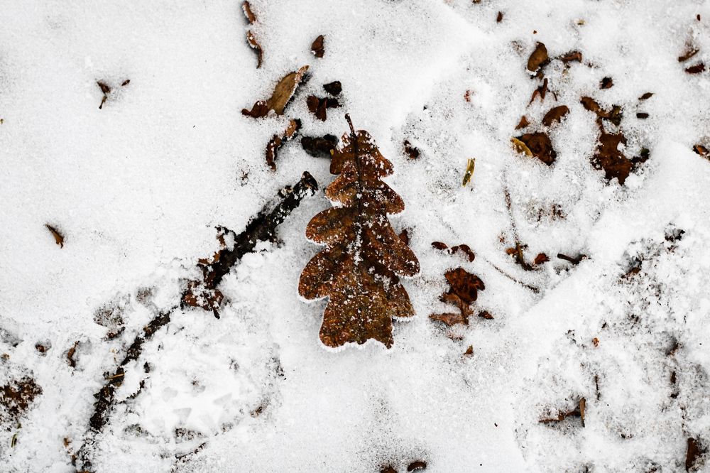 Photograph by Ekaterina