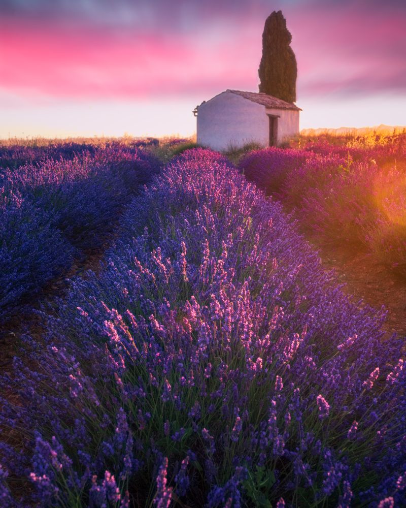 Photograph by Matteo Martin