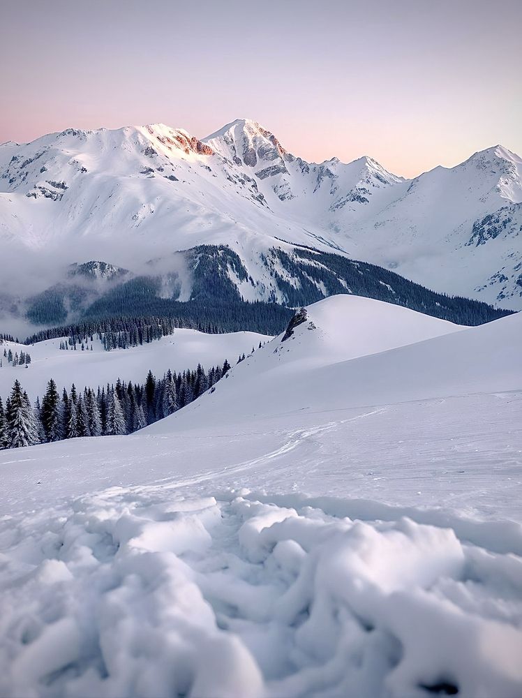 Photograph by Игорь Плешков