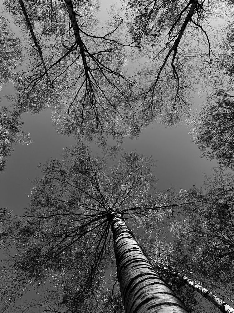 Photograph by Анна Любимова