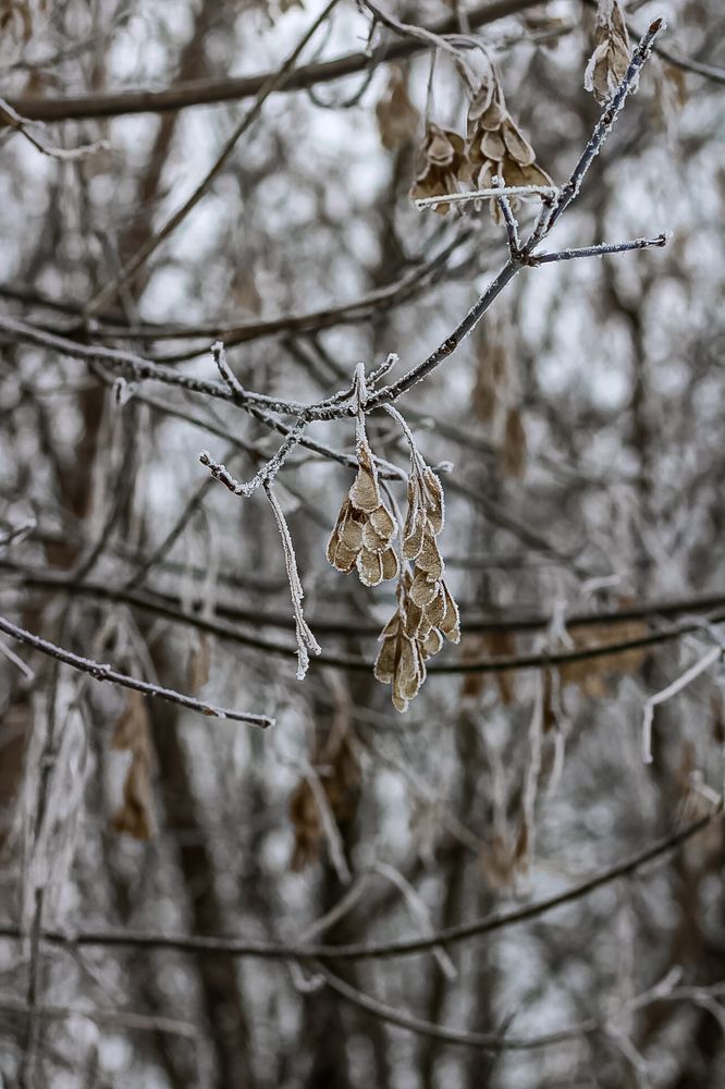 Photograph by Ekaterina