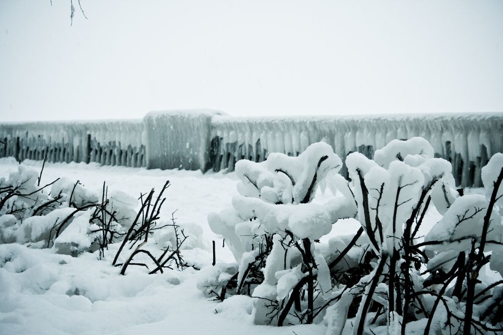 Photograph by Данил Савин