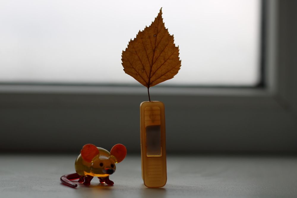 Photograph by Ekaterina