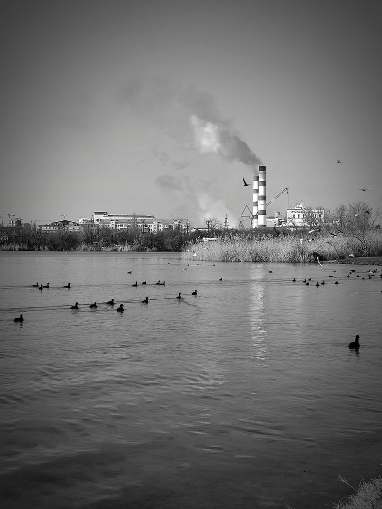 Photo #11860196