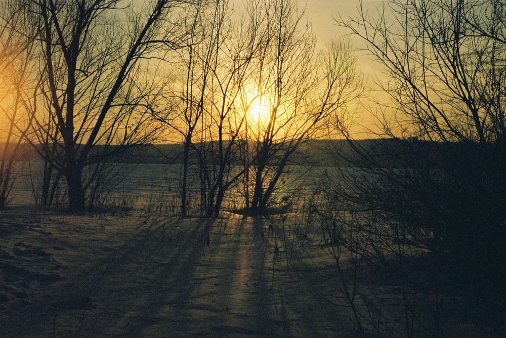 Photograph by Михаил Васьков
