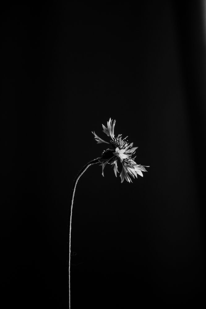 Photograph by Анастасия Данилюк