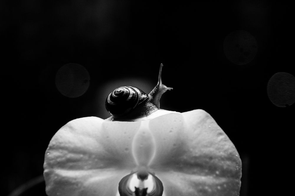 Photograph by Анастасия Данилюк