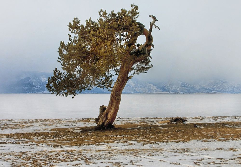 Photograph by Юрий Борик