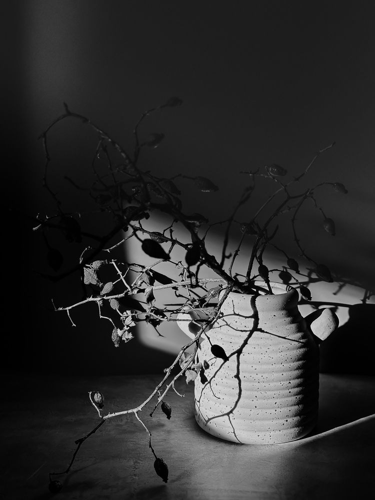 Photograph by Соколова Виктория