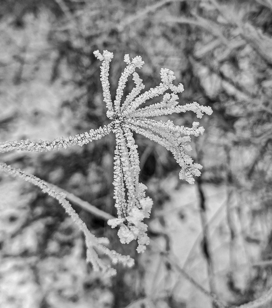 Photograph by Ekaterina