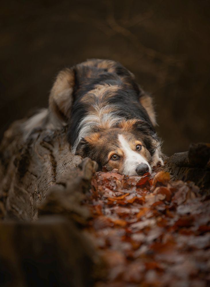 Photograph by Annemarie Visser