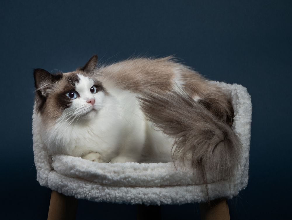 Фотография автора Annemarie Visser