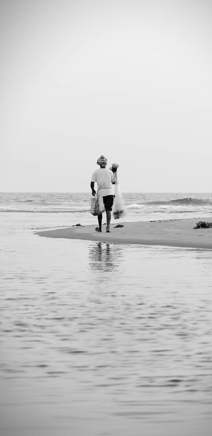 Photo #11860344