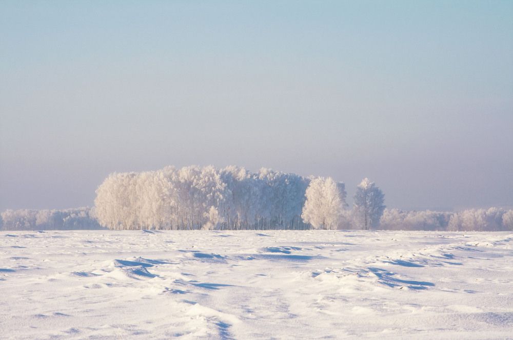 Photograph by Юлия Лушникова