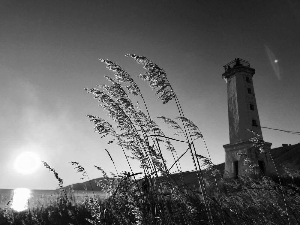 Photograph by Дарья Сидорова