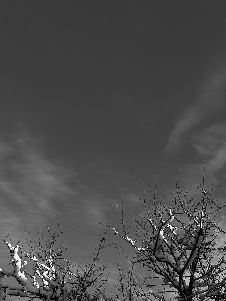 Фотография автора Анна Столярова