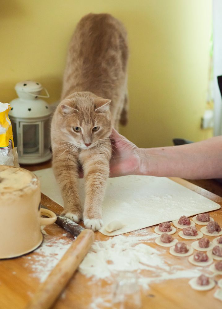 Самый вкусный пельмешек