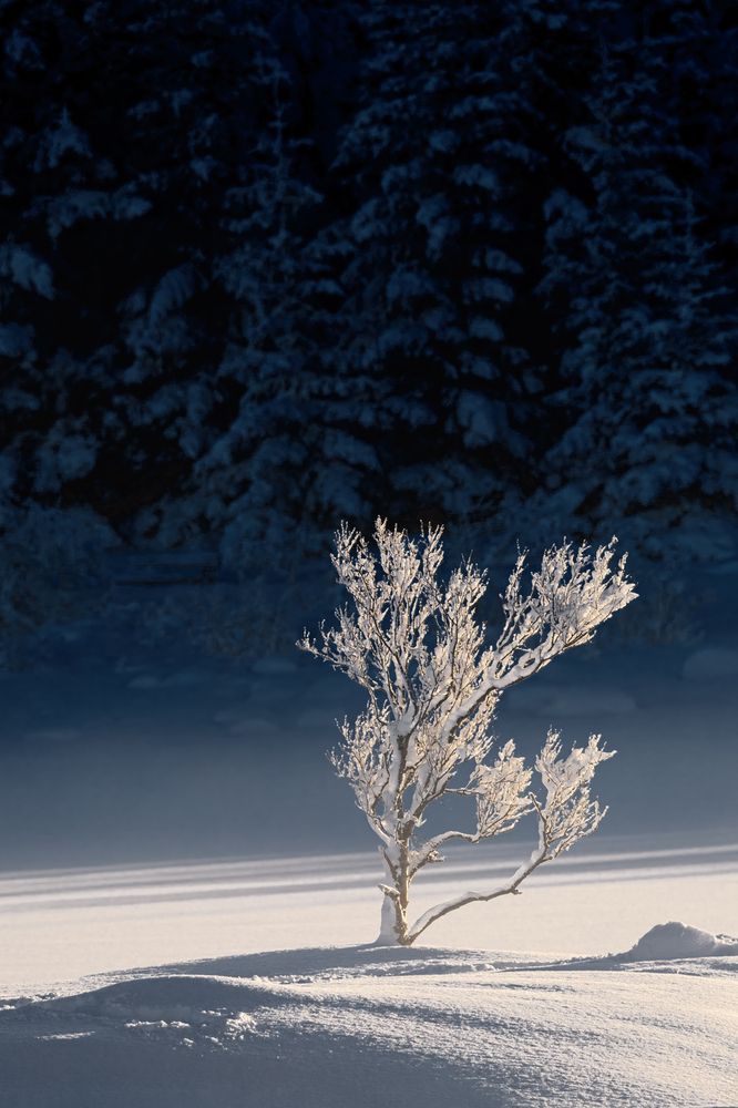 Photograph by Bragi Kort