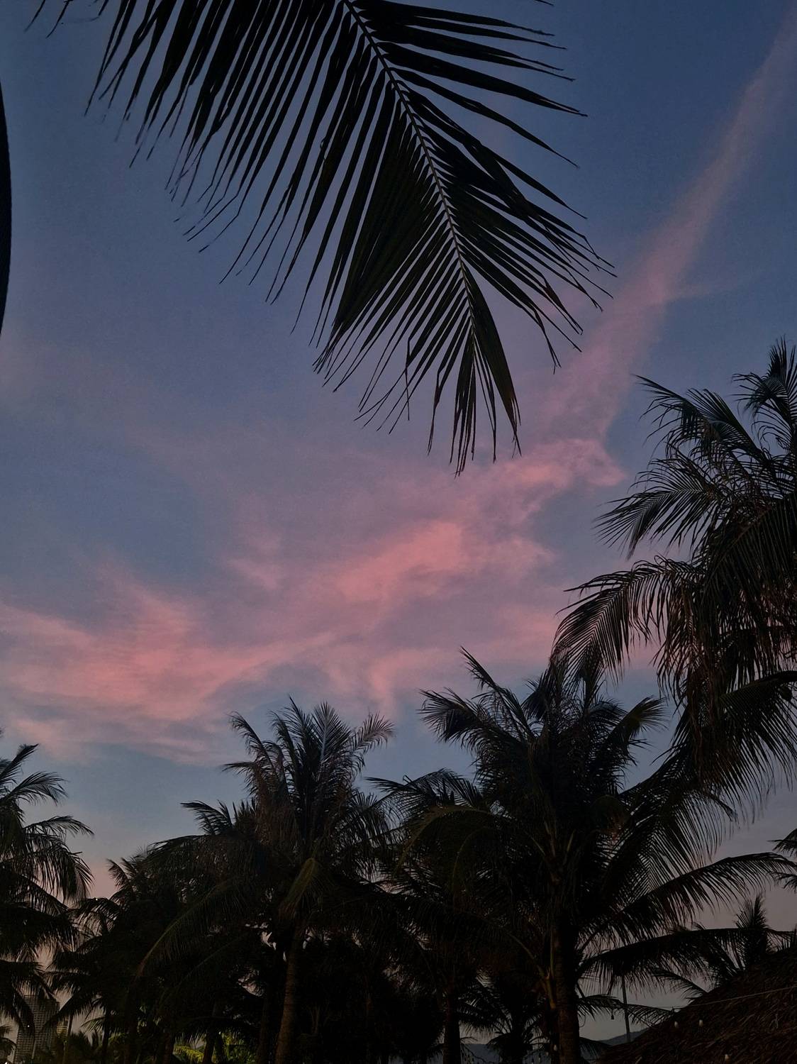 Photo #11860458