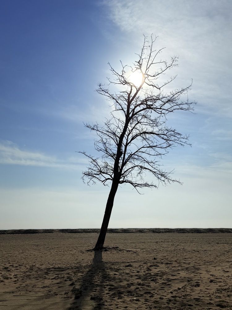 Photograph by Светлана Соколова