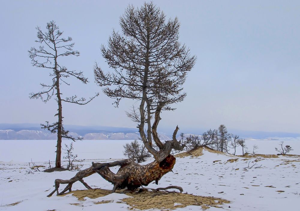 Photograph by Юрий Борик