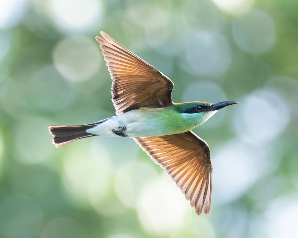 Photograph by Truong Cong Minh Dang