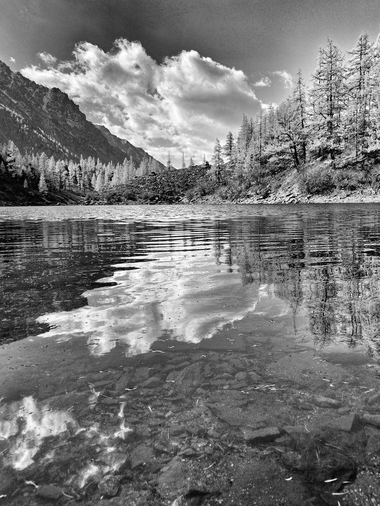 Photograph by Елена Павлова