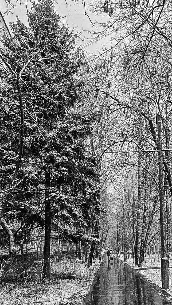 Photograph by Владимир Езеров