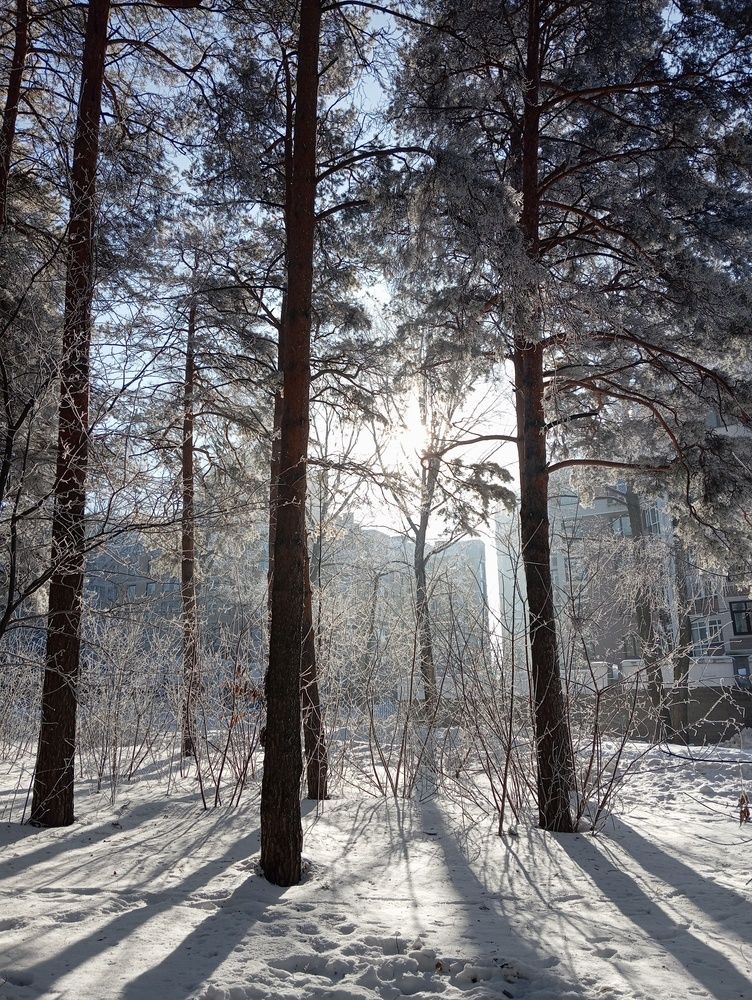 Фотография автора Оксана