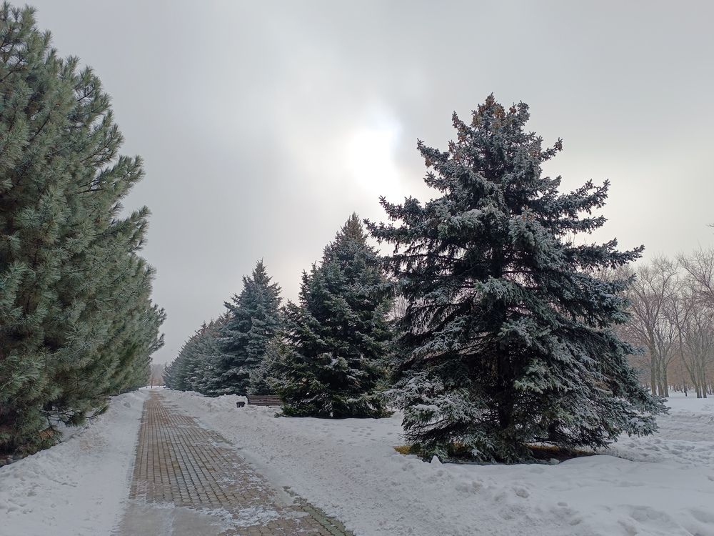 Фотография автора Владимир