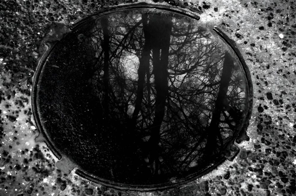 Photograph by Сергей Клапишевский