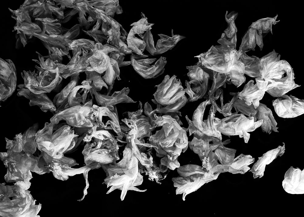 Photograph by Викулов Сергей