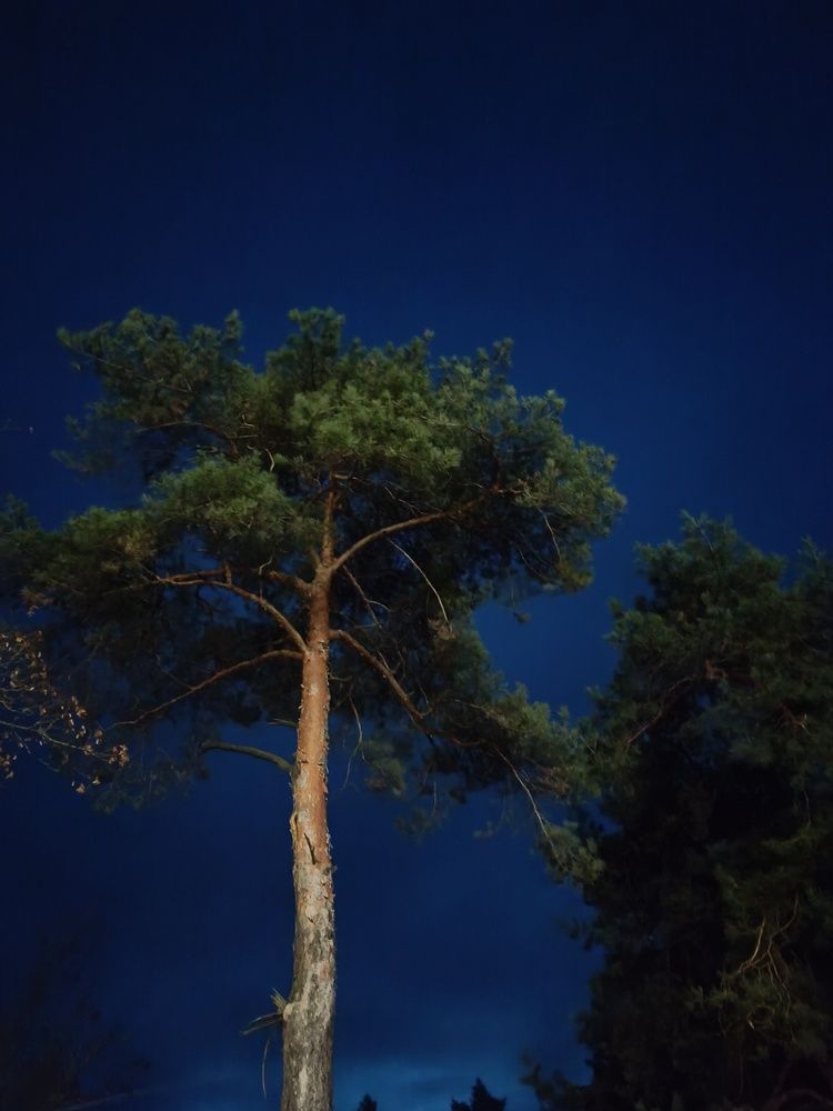 Photograph by Елена Пархоменко