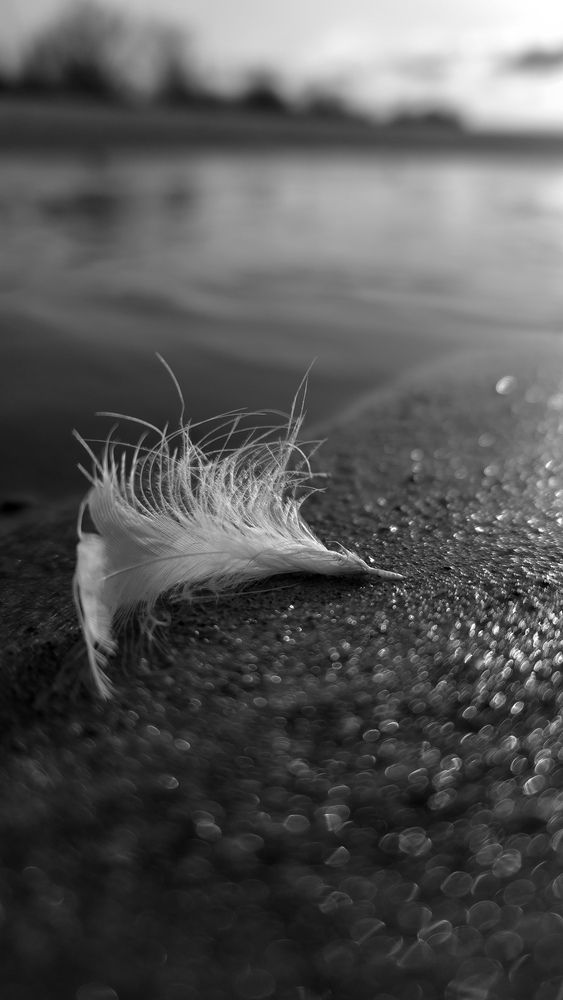 Photograph by Наталия Короленко