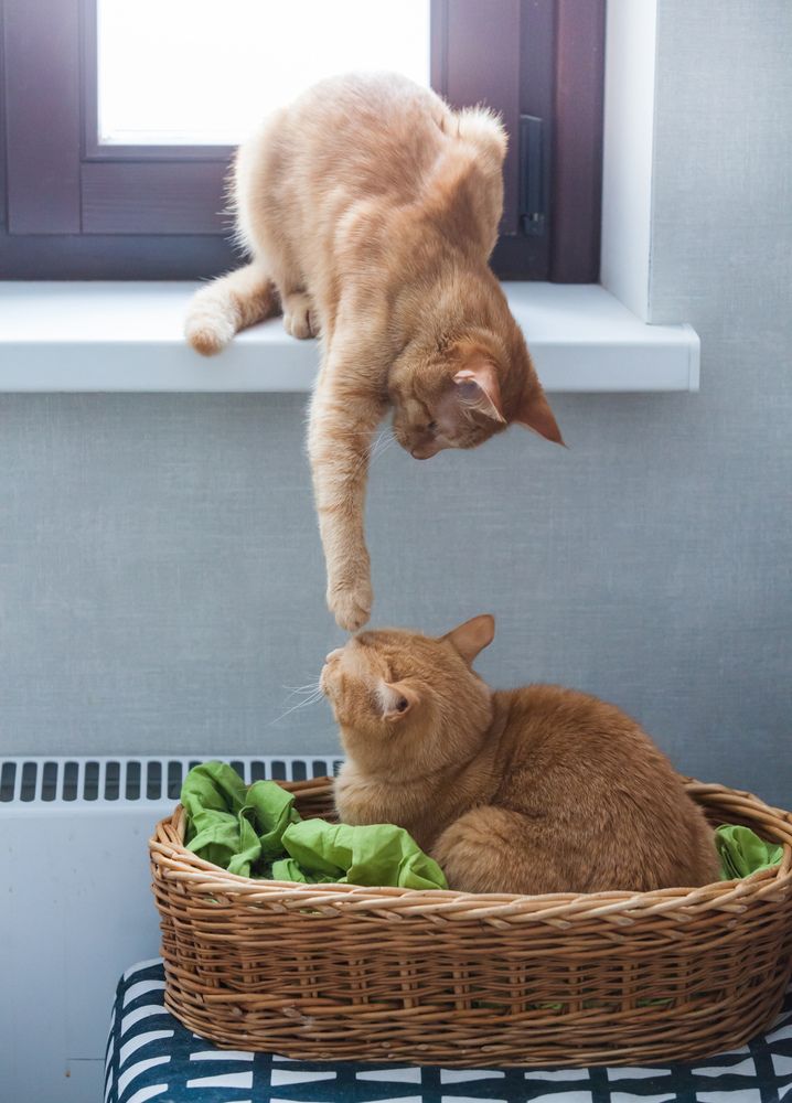 Прикосновение