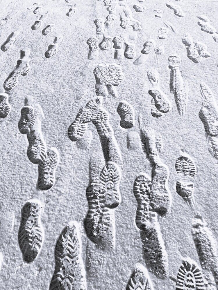 Photograph by Nikita Zorin