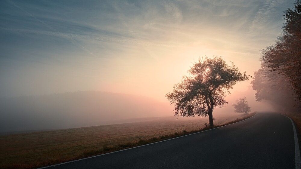 Photograph by Jan Musil