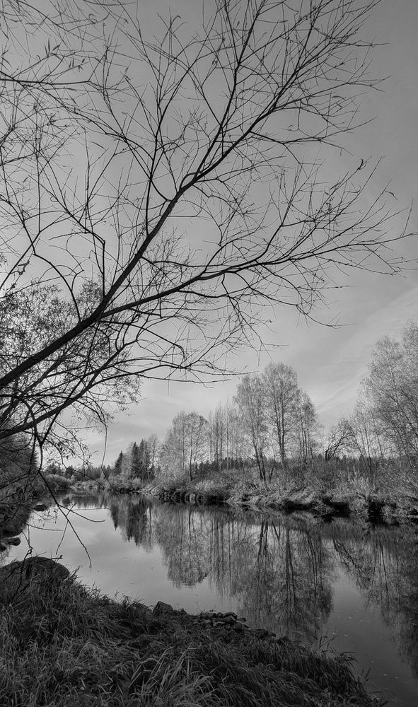 Photograph by Ольга Тимофеева