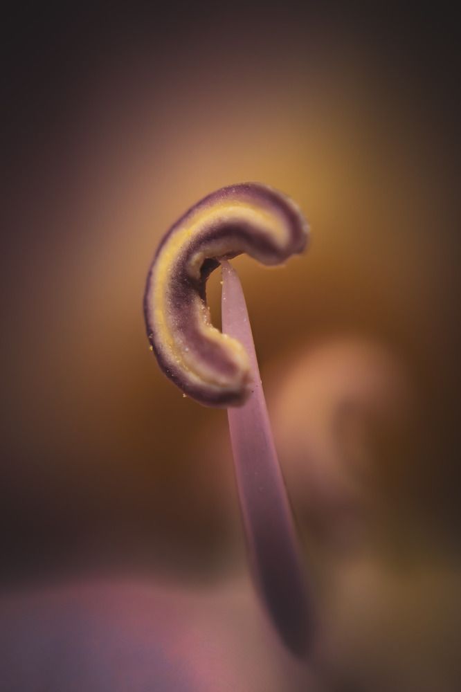 Photograph by Fernando Castro Ortiz