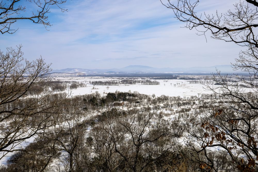 Photograph by Коротков Евгений