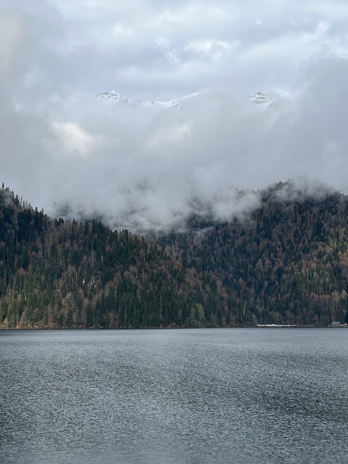 Photo #11860713
